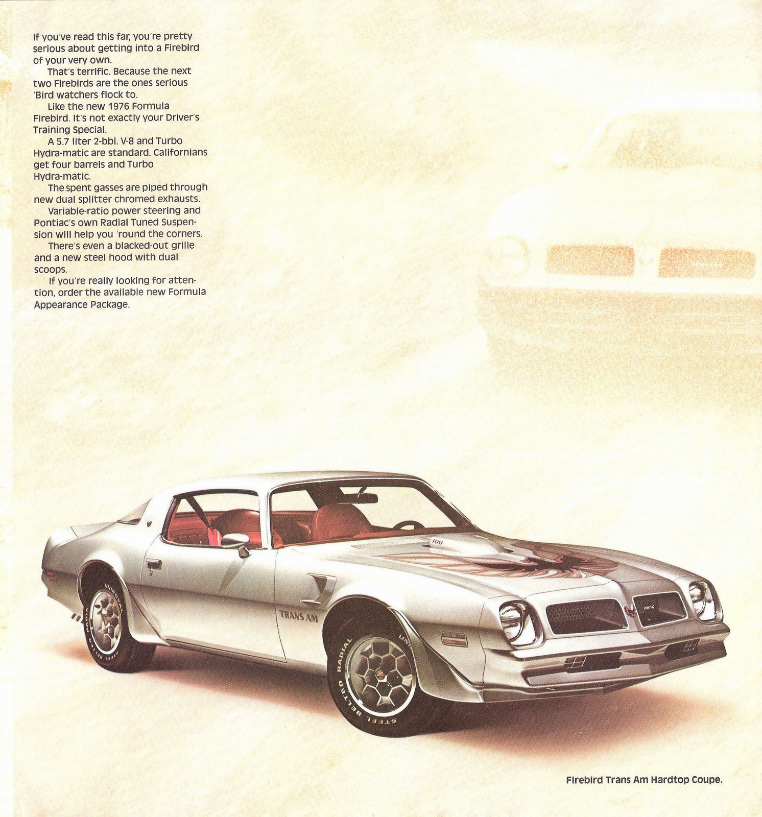 n_1976 Pontiac Firebird-03.jpg